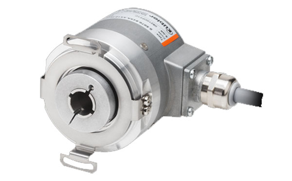 Kuebler <b style= Kuebler <b style=